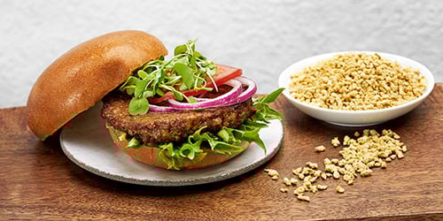 Veggie burger patties (for food industry)